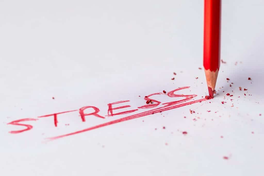 can my employer investigate stress